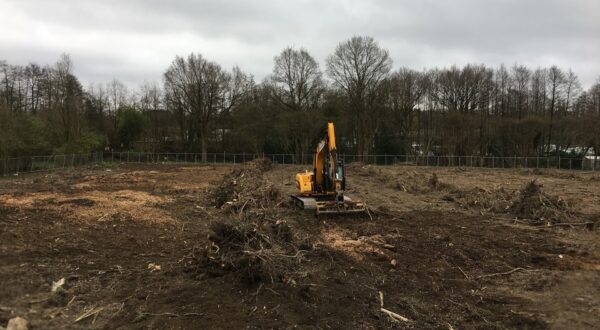 Site Clearance Site Clearance